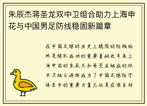 朱辰杰蒋圣龙双中卫组合助力上海申花与中国男足防线稳固新篇章